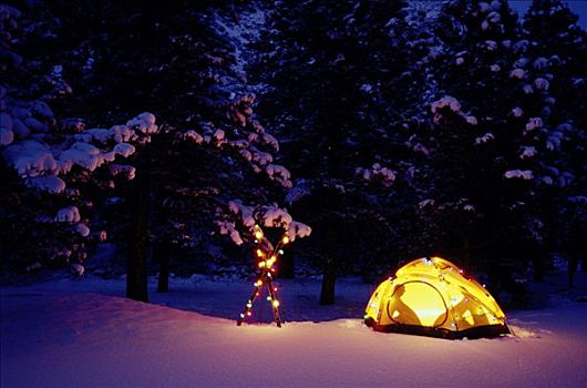 冬天,露营,照亮,帐蓬,圣诞灯光,科罗拉多