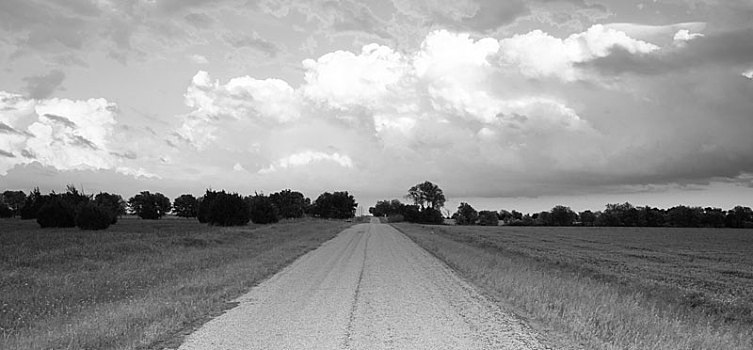 全景,道路,乡村,德克萨斯,黑白