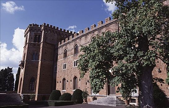 树,正面,城堡,锡耶纳省,托斯卡纳,意大利