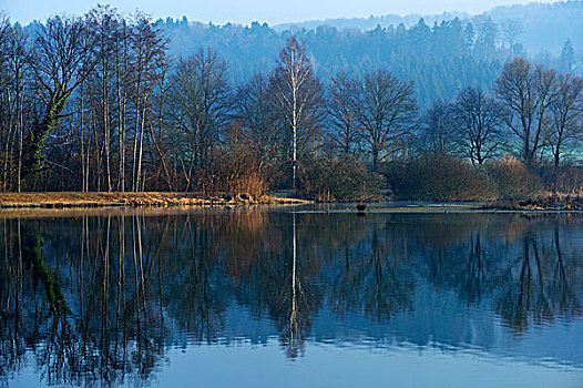 清晨,自然保护区,阿尔皋,瑞士,欧洲