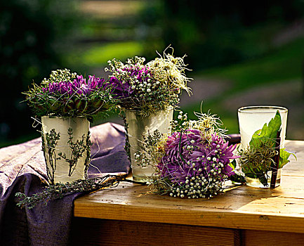 秋天装饰,紫苑属,丝石竹属植物