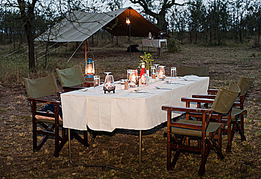 优雅,奢华,露营,餐桌,生活方式,塞伦盖蒂,坦桑尼亚,非洲