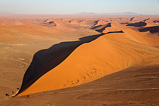 沙丘,纳米布沙漠,骆驼,刺,树,刺槐,晚上,航拍,纳米比诺克陆夫国家公园,纳米比亚,非洲