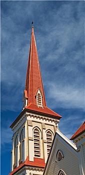 长老教,教堂,惠灵顿,北岛,新西兰