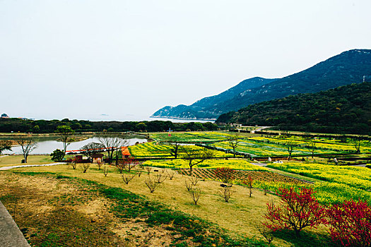 舟山大青山