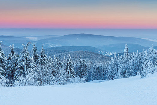 积雪,冬季风景,黎明,格罗塞尔,法兰克福,黑森州,德国