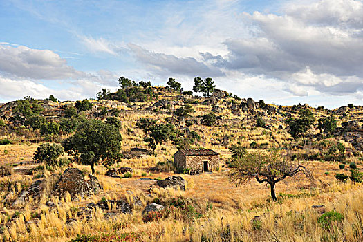 石屋,靠近,一个,隔绝,高原,葡萄牙,国际,自然公园