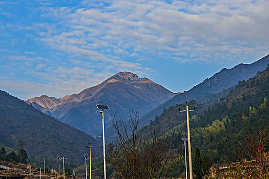 树,蓝天,田野,山,背景,村庄,山岗