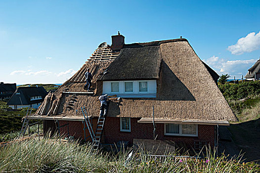 屋面工,修葺,茅草屋顶,北方,石荷州,德国,欧洲