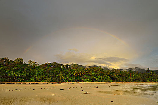 彩虹,雨,早晨,雨林,岬角,困苦,昆士兰,澳大利亚