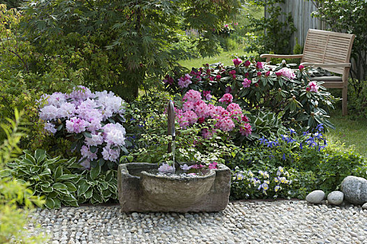 喷泉,石头,槽,杜鹃花属植物,米兰