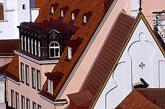 中世纪,屋顶,老城,街景,塔林,爱沙尼亚