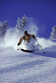 女人,滑雪,糖罐,滑雪胜地,加利福尼亚,美国
