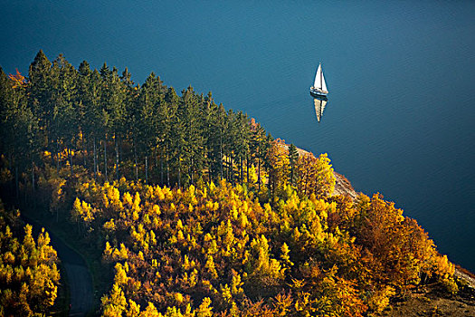 最大,湖,岸边,秋天,落叶林,帆船,藻厄兰,北莱茵威斯特伐利亚,德国,欧洲