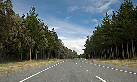 公路,陶波,新西兰
