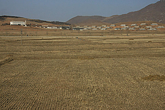 耕地,村舍,民居,房子,山