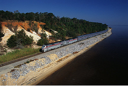 客运列车,海岸线,树,靠近,佛罗里达,美国