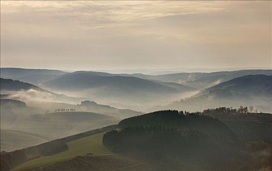 航拍,晨雾,藻厄兰,山谷,北莱茵威斯特伐利亚,德国,欧洲