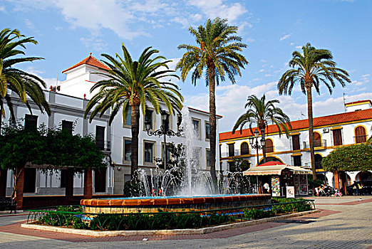 喷泉,棕榈树,树,老,城镇,哥斯达黎加,韦尔瓦,区域,安达卢西亚,西班牙,欧洲