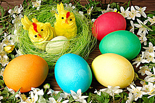 彩色,复活节彩蛋,两个,装饰,幼禽,鸟窝,围绕,白色,春花