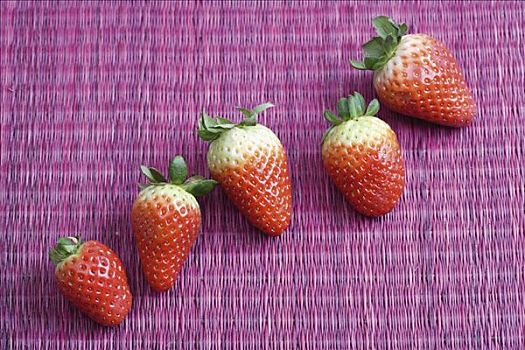 草莓,丁香,餐垫