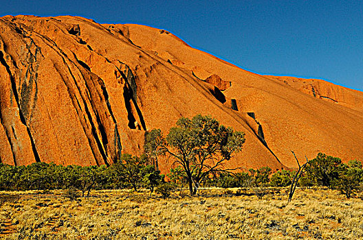 石头,特写,乌鲁鲁-卡塔丘塔国家公园,北领地州,澳大利亚