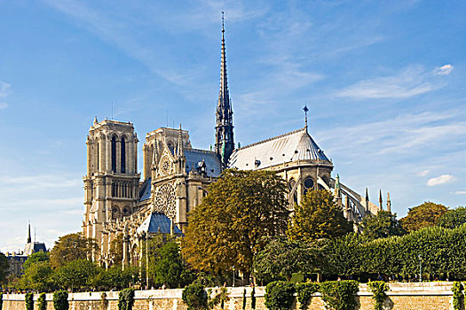 巴黎圣母院,巴黎,大教堂,法国,欧洲