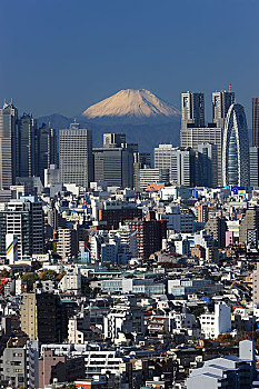 山,富士山,高层建筑,新宿