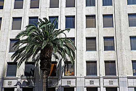 美国,加利福尼亚,洛杉矶,第一,好莱坞,建筑,棕榈树
