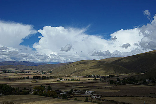 西藏东谷盆地牦牛谷