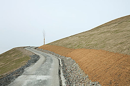 人造,风景