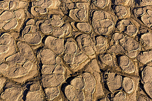 干燥,泥,缝隙,古老,沙丘,死亡谷国家公园,加利福尼亚,美国