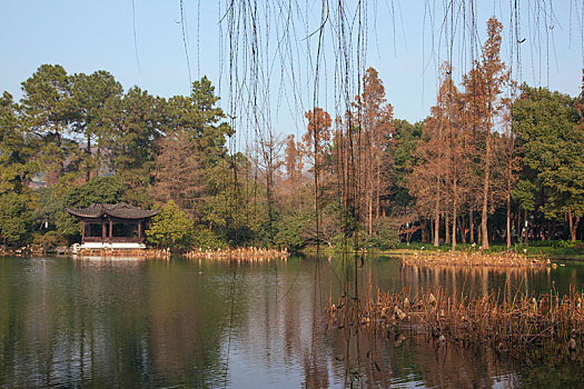 杭州西湖美丽秋色
