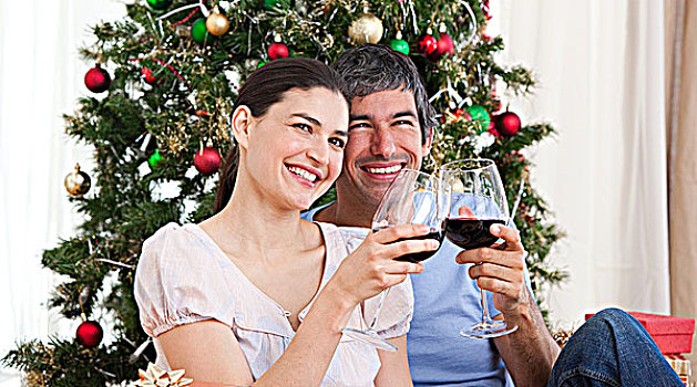 爱人,喝,葡萄酒,圣诞时节