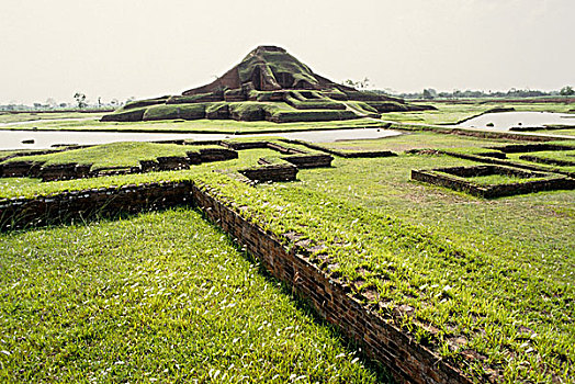 佛教,寺院,旅游胜地,北方,孟加拉,国王,朋友,七世纪,乡村,西部,地区,考古,发现