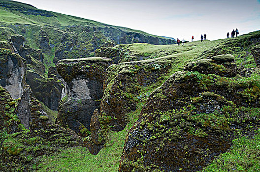 峡谷,靠近,南,海岸,凝灰岩,火山岩,苔藓,冰岛,欧洲