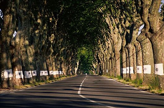 道路,普罗旺斯,法国