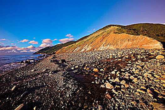 海岸线,仰视,鲑鱼,溪流,野餐,地面,新斯科舍省,加拿大