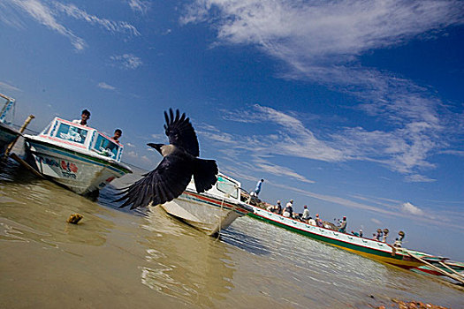 速度,船,河,渡轮,达卡,孟加拉,十一月,2008年