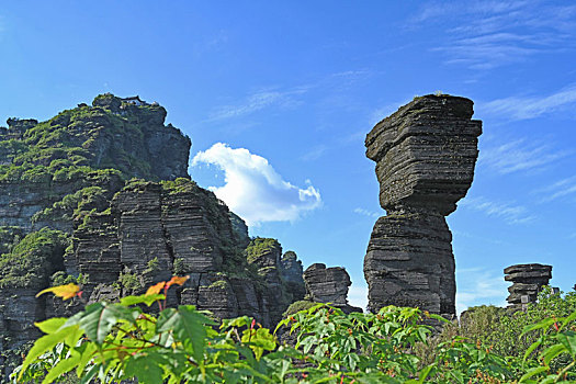 贵州梵净山蘑菇石