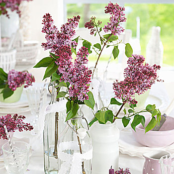 紫色,丁香,多样,花瓶,桌面布置