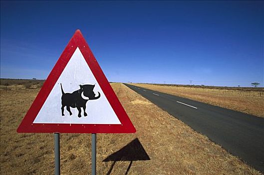 岬角,疣猪,警告标识,主路,纳米比亚