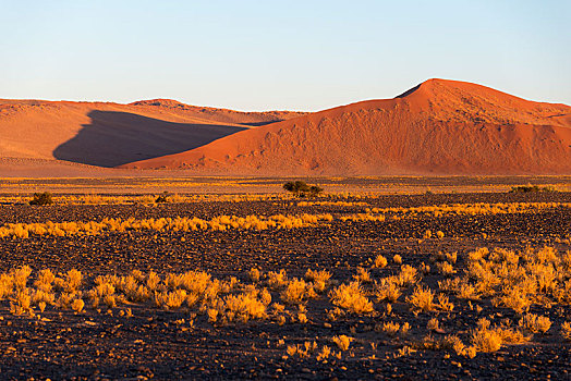 沙丘,索苏维来地区,纳米比诺克陆夫国家公园,纳米布沙漠,纳米比亚,非洲
