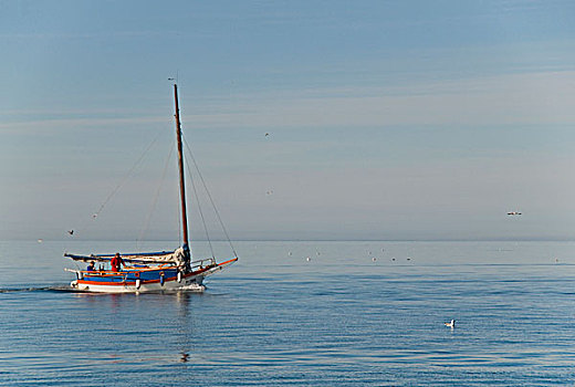 渔船,航行,亚德里亚海,海岸,皮兰,斯洛文尼亚