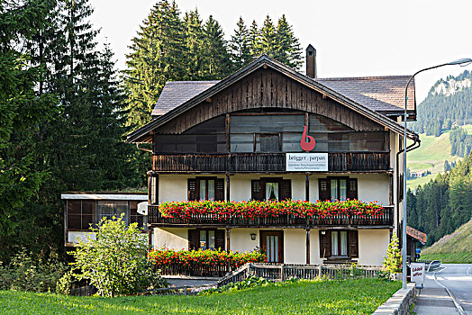 房子,肉,弄干,植物,市区,瑞士