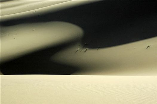戈壁沙漠,国家公园,蒙古