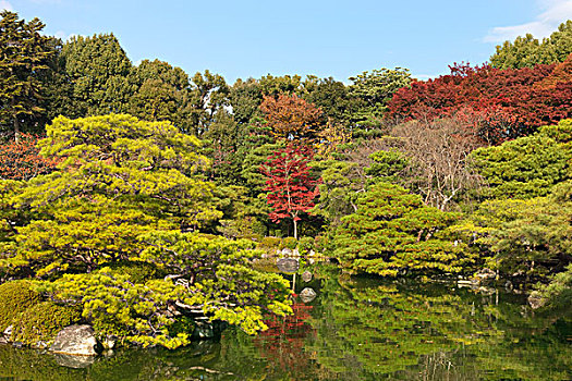 秋色,花园,京都,日本