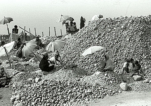 男人,女人,坐,工作,挤压,石头,劳工,孟加拉