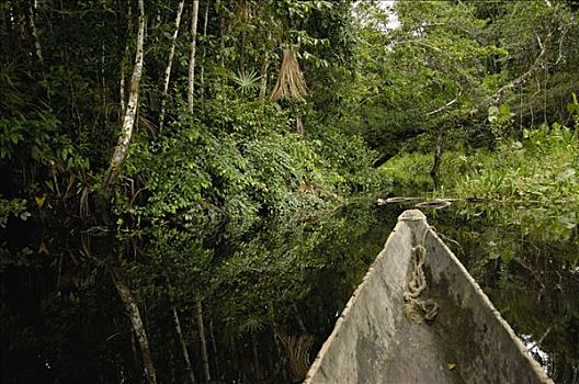 独木舟,河流,国家公园,生物保护区,亚马逊雨林,厄瓜多尔