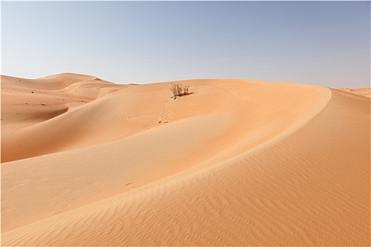荒漠景观,阿布扎比,阿联酋